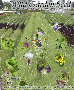 Wild Garden Seed Catalog: 2007