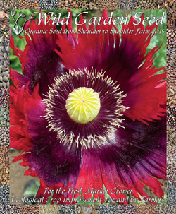 Wild Garden Seed Catalog: 2015