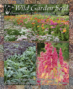 Wild Garden Seed Catalog: 2017