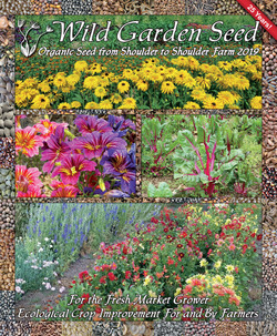 Wild Garden Seed Catalog: 2019