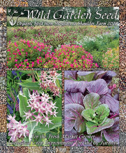 Wild Garden Seed Catalog: 2020