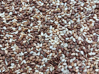 Hannah's Grex Sesame